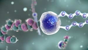 Medical mode of action animation of cells linking up