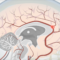 E-Learning for Health: Changing Patient Outcomes with the Right Training