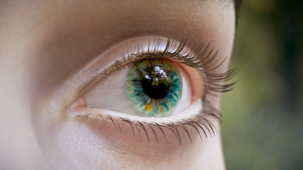 Close up of a human eye showing detailed iris texture and eyelashes, used to explain the difference between Playblast or Render in a 3D medical animation pipeline.