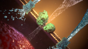 Medical Animation And Illustration of an eye membrane with fluid leaking