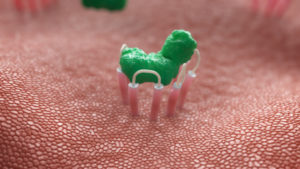 Snapshot of 3D Animated Bodily Function