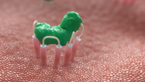Snapshot of 3D Animated Bodily Function