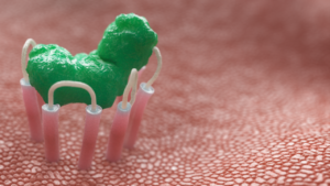 Snapshot of 3D Animated Bodily Function