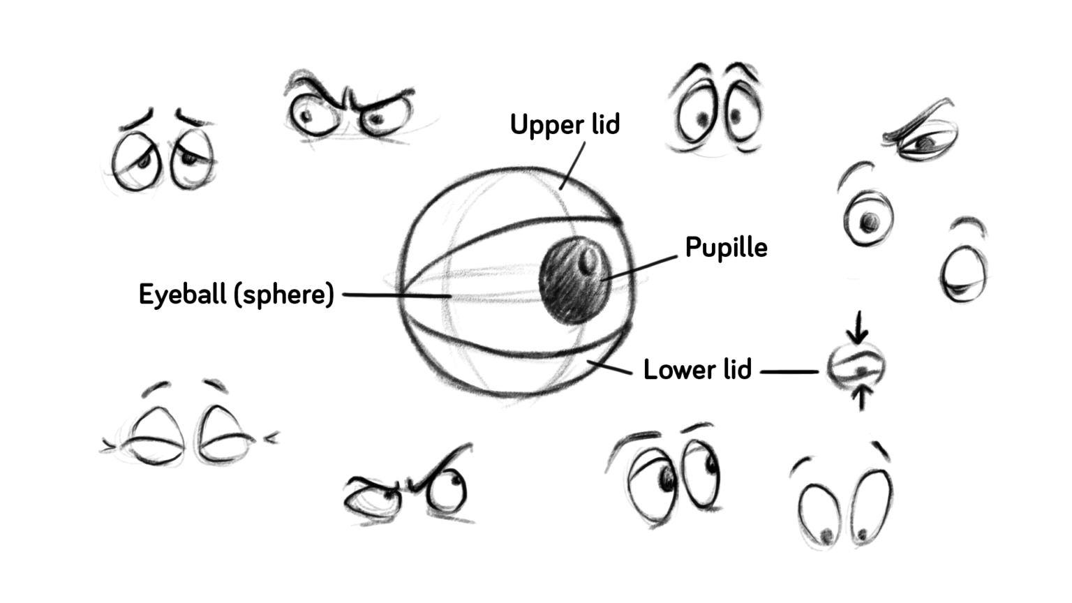 change eye shape in character animator photoshop