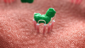 Snapshot of 3D Animated Internal Bodily Function