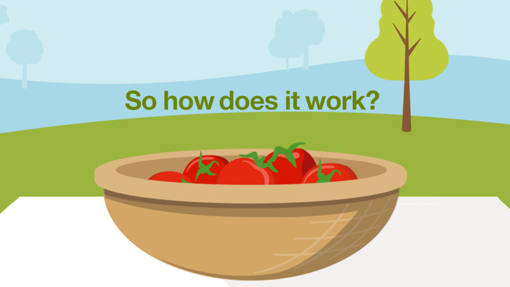 A still from a 2D animation of a basket of tomatoes on a table in a garden with the text 'So how does it work?' written above
