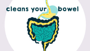 image of bowel for explainer animation with text that says cleans your bowel