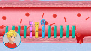 2D bright, stylised illustration of an internal bodily function