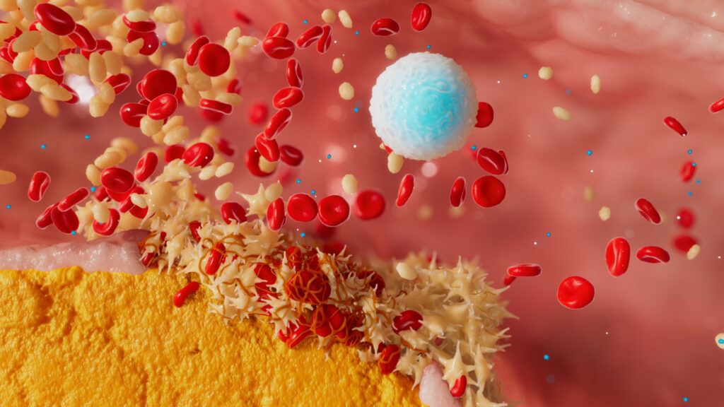 3D medical animation showing red blood cells and white blood cell flow inside an artery – created by Sliced Bread Animation.