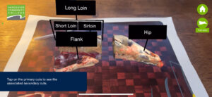 Screenshot from our AR butchery app showing the primary cuts that come from the Hind Quarter of the side of beef, with labels to indicate the different primary cuts