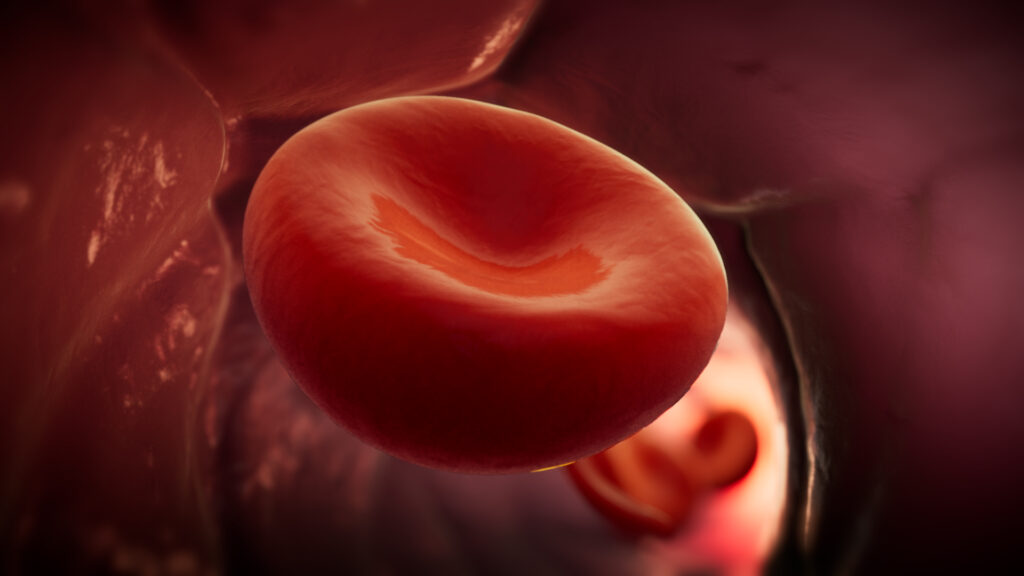 A close-up view of a 3D realistic red blood cell in a blood vessel, highlighted against a dark background.