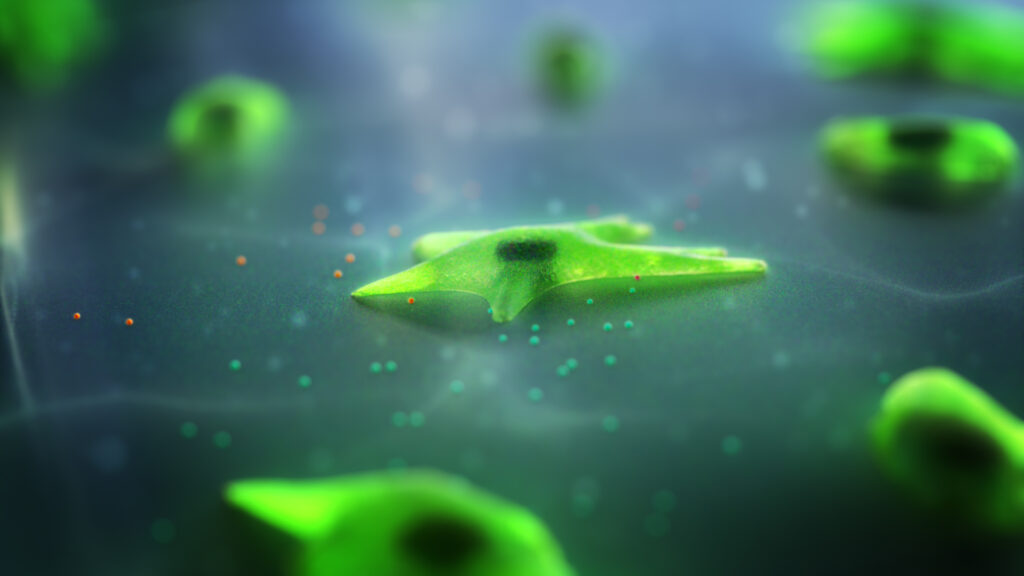 A close-up view of green, glowing stem cells against a dark background. The cells are shown in various shapes, and some are scattered with smaller, brightly coloured particles, suggesting a dynamic or active biological process.